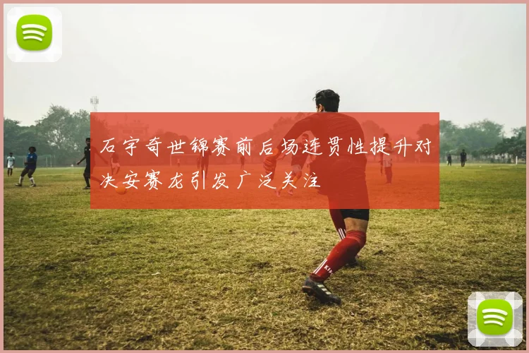 石宇奇世锦赛前后场连贯性提升对决安赛龙引发广泛关注